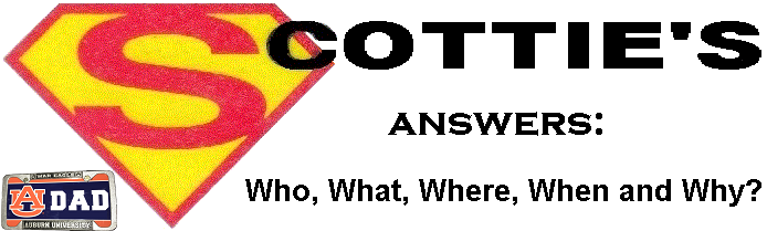 Scottie's about Scottie's