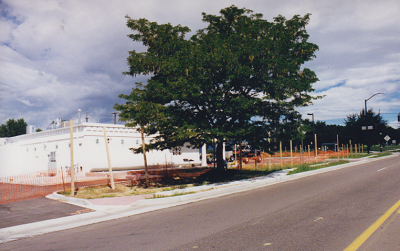Zorbadillo's Commercial Fence Installation Project
